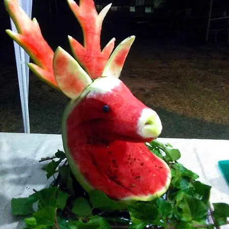 维拉吉奥哥斯达阿根酒店